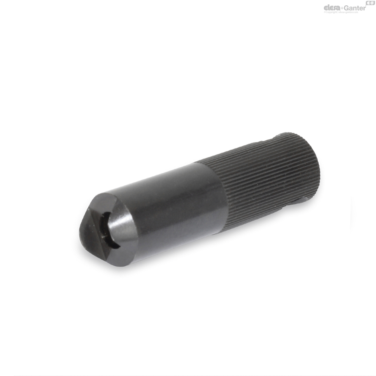 Montagedorn