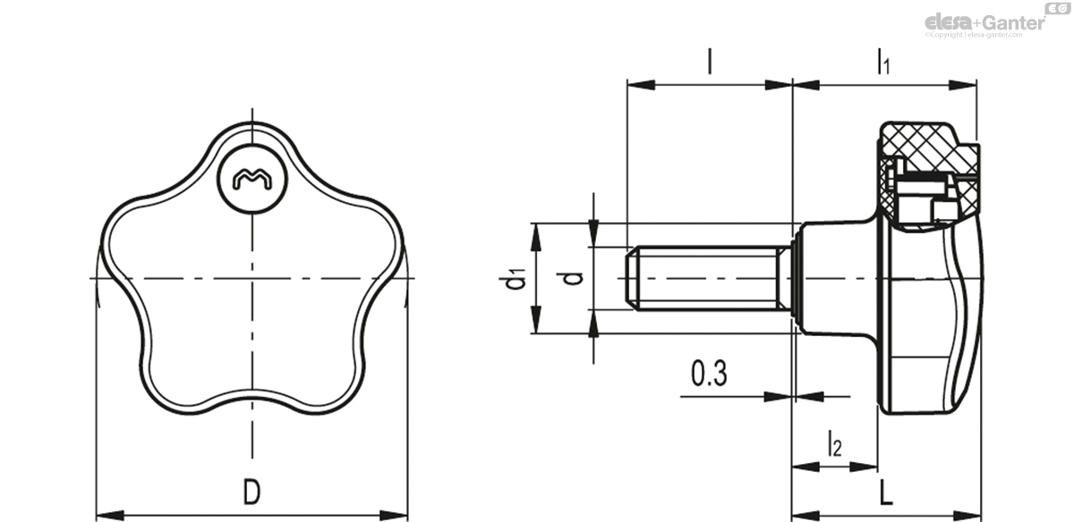 VLS.55-SST-p-M10x40 drawing