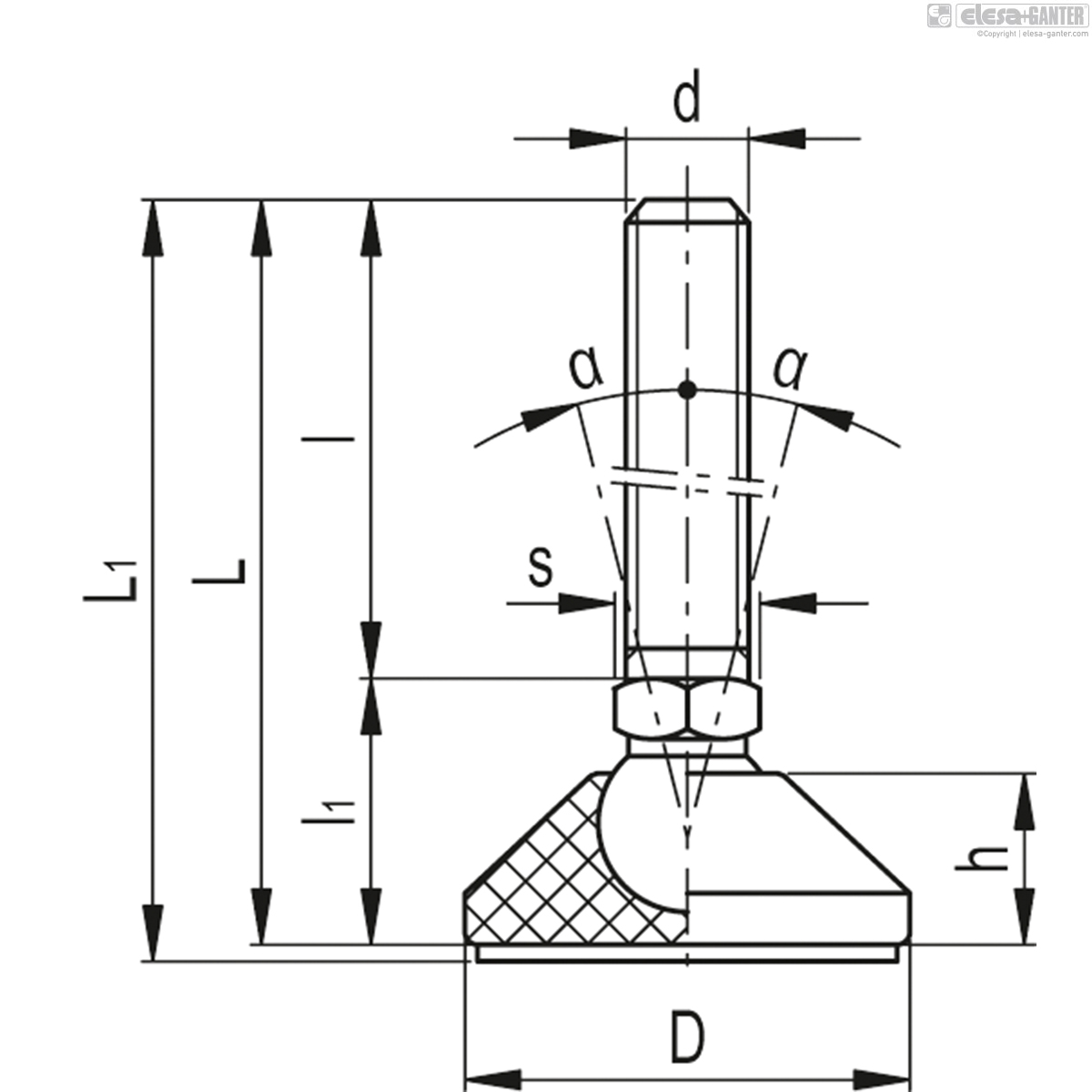 LSX.A-40-10-AS-M10x70 drawing