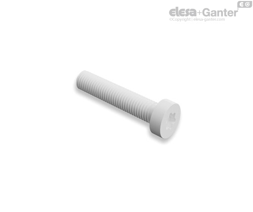 Cylindrical head screws