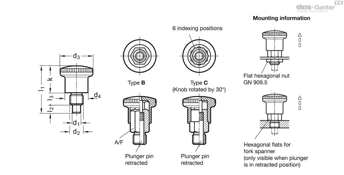 Mini doigts d'indexation , Acier inoxydable / Bouton en plastique