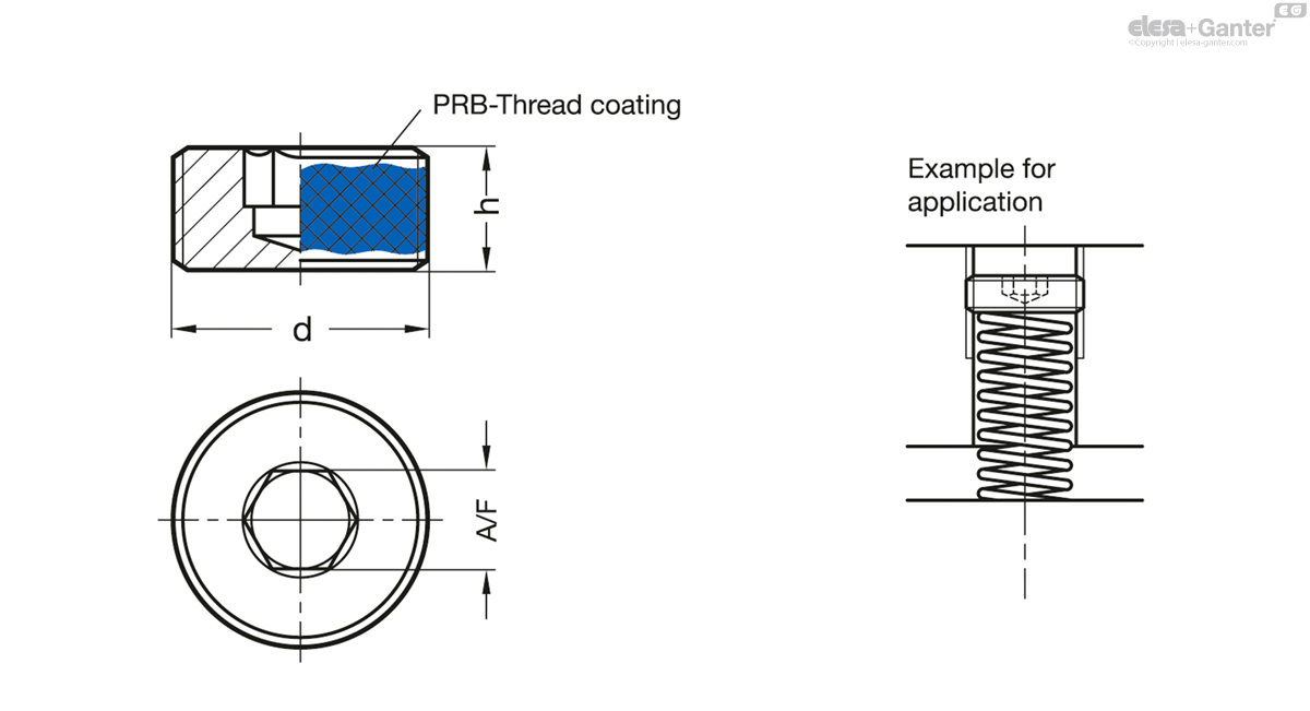 Stainless Steel-Blanking plugs