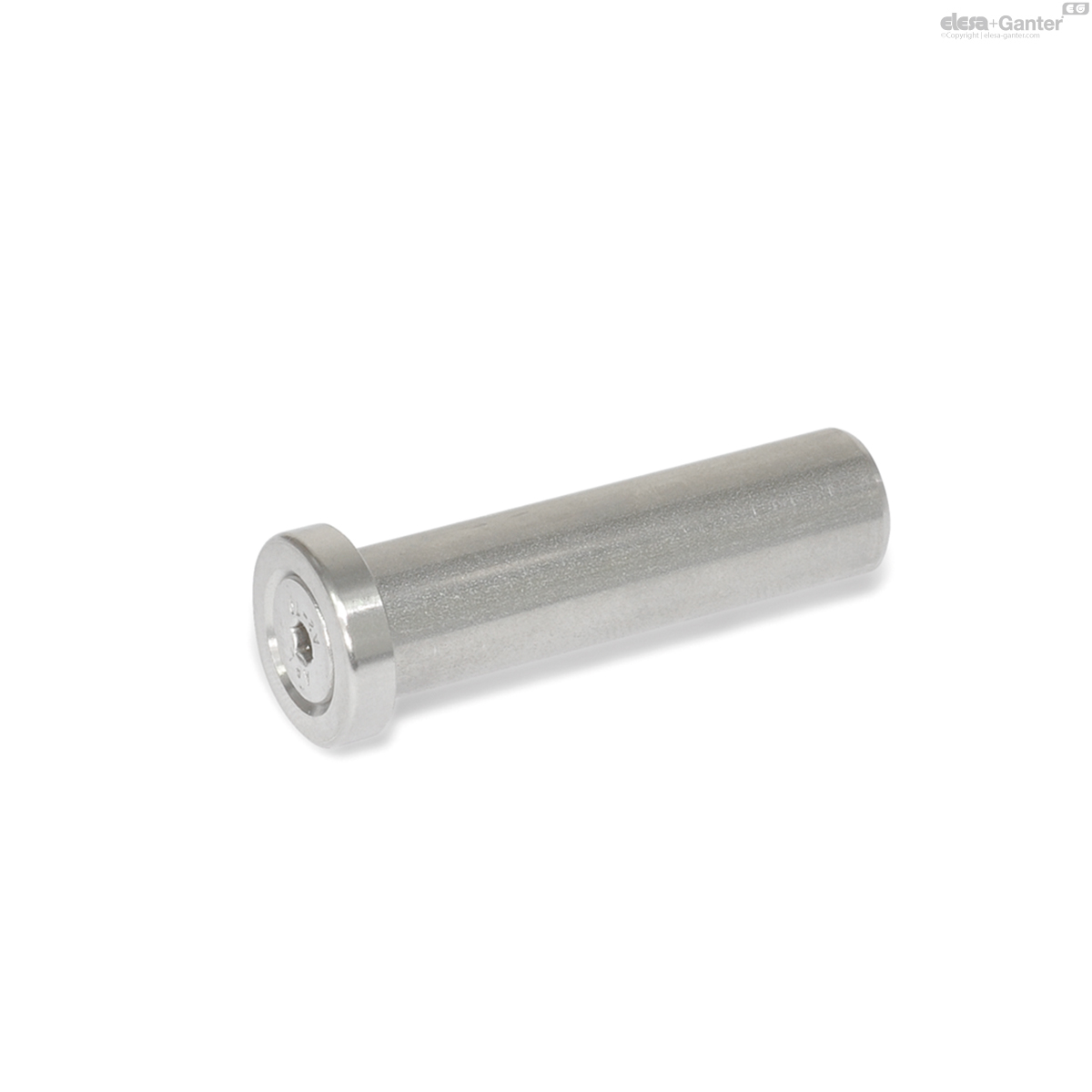 Stainless Steel-Assembly pins