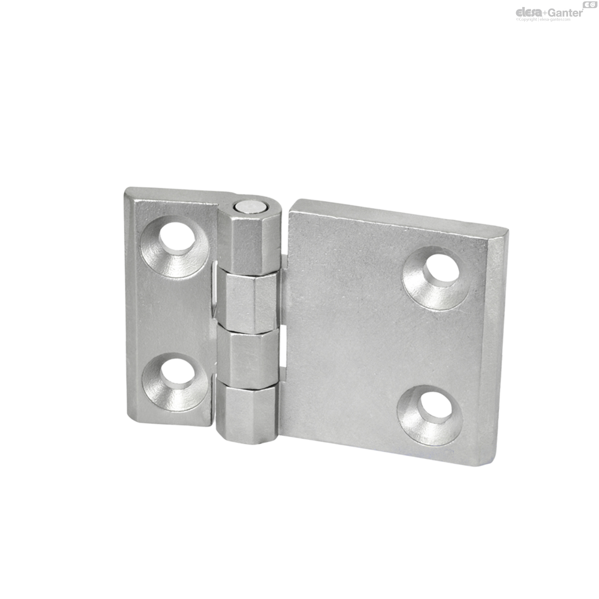 Stainless Steel-Hinges with extended hinge wings