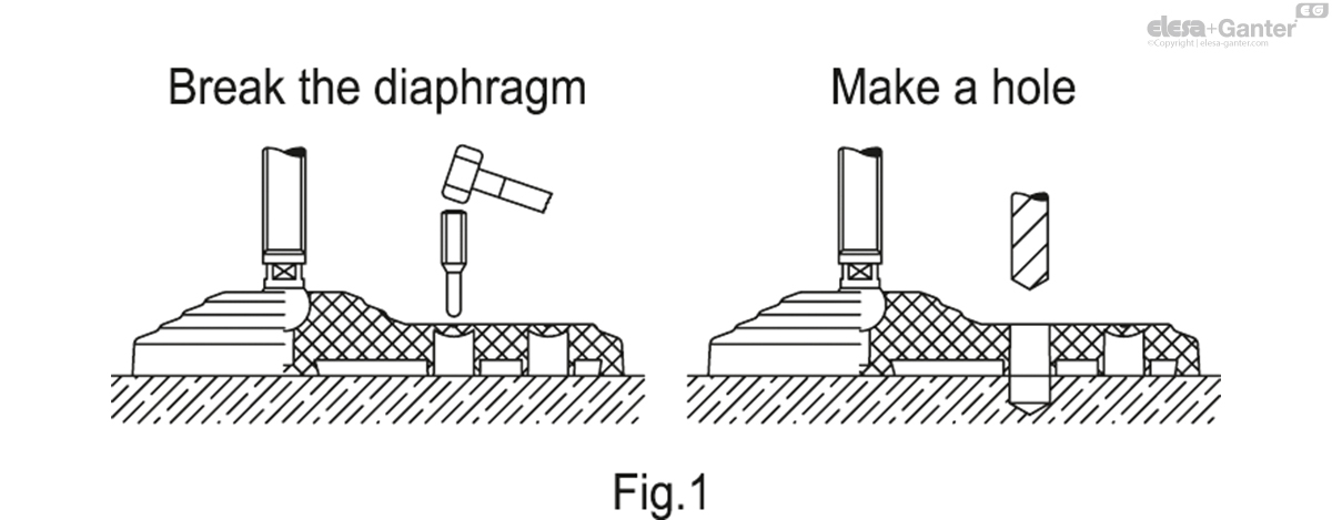 Without no-slip disk