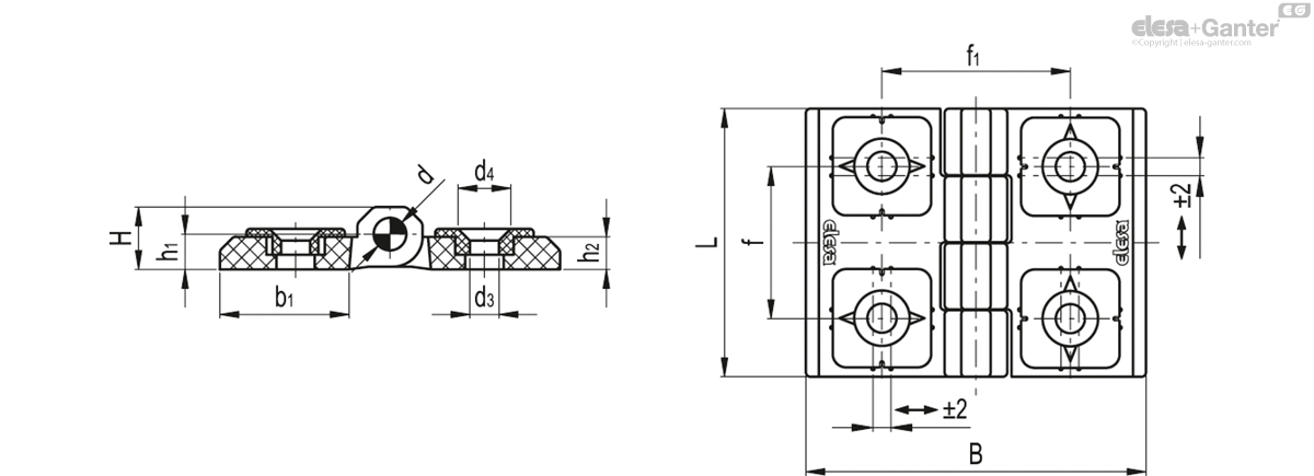 Hinge with adjusting inserts
