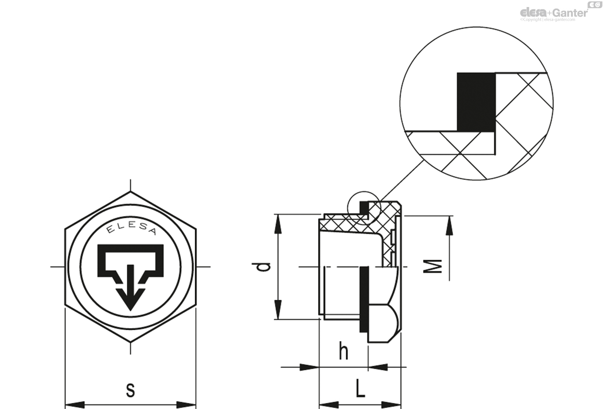 Oil drain plugs