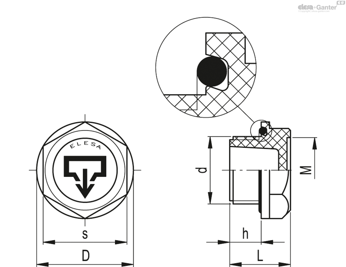 Oil drain plugs