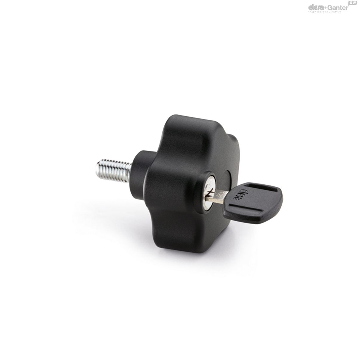 Stainless steel threaded stud, with cap