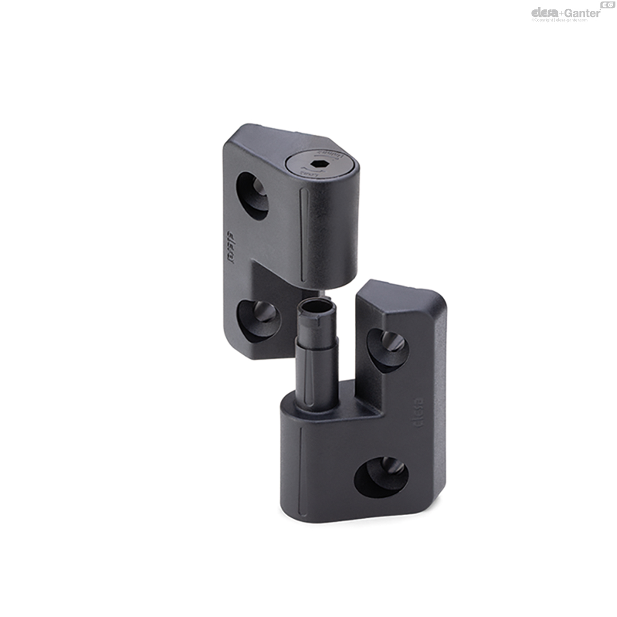 With hexagonal key, pin in the right body