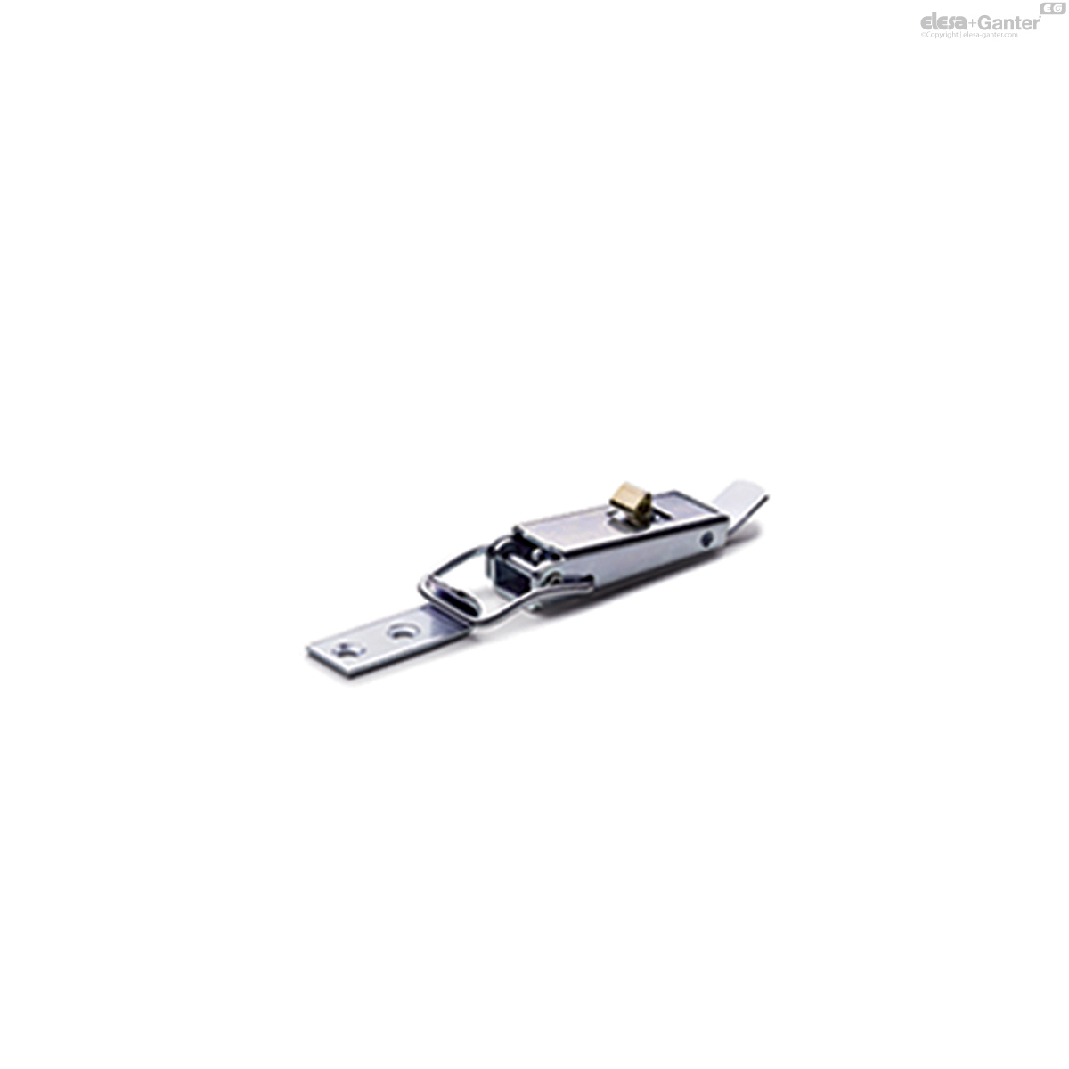 Lever body and bracket in stainless steel with spring