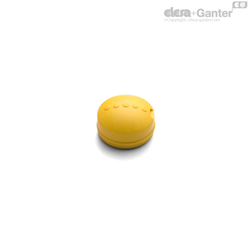 C4 - RAL 1021