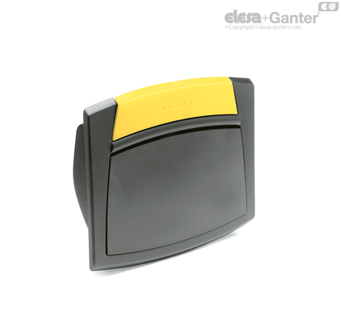 C4 - RAL 1021