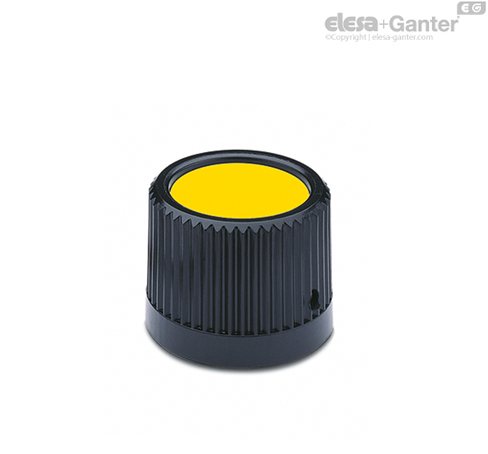 C4 - RAL 1021