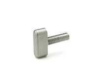 Stainless Steel-Wing screws