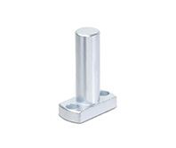 Flanged bolts